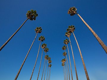 Zdjęcie kierunku: Los Angeles